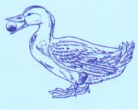 Blaue Ente Blaue Ente